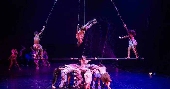 Des acrobates se produisent sur scène lors du 35e Festival mondial du Cirque de Demain, certains en équilibre sur un poteau horizontal suspendu et d'autres formant un groupe blotti en contrebas. Un éclairage dramatique met en valeur leurs poses dynamiques et leurs costumes éclatants.