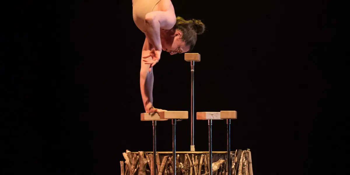 Danielle Saulnier, une acrobate vêtue d'un justaucorps nu, fait un poirier sur des cannes surélevées au sommet d'une structure artistique de branches arrangées, sur un fond de scène sombre.