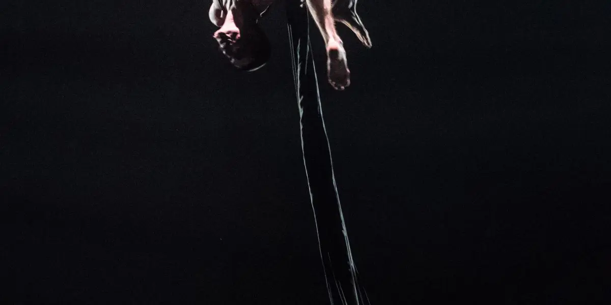 L'artiste aérien Flavien Marciasini exécute une pose à l'envers sur de longues soies noires sur un fond sombre, dramatiquement éclairé par le haut, mettant en valeur une force et un équilibre incroyables.