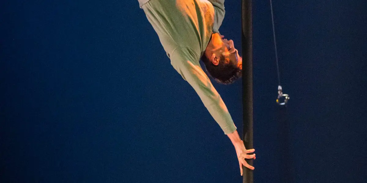 L'artiste Ron Oppenheimer, vêtu d'une chemise verte et d'un pantalon gris, est suspendu à l'envers à un poteau vertical, qu'il saisit d'une main et d'un pied, sur un fond bleu foncé.