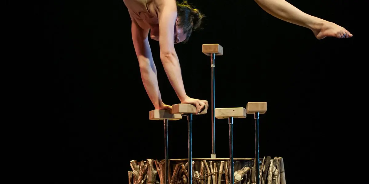 Danielle Saulnier, une acrobate de talent, se tient en équilibre sur ses mains au sommet d'étroites cannes, effectuant un grand écart avec une jambe tendue vers le haut. Elle est en équilibre sur une plate-forme de branches entrelacées, éclairée par un éclairage de scène spectaculaire.