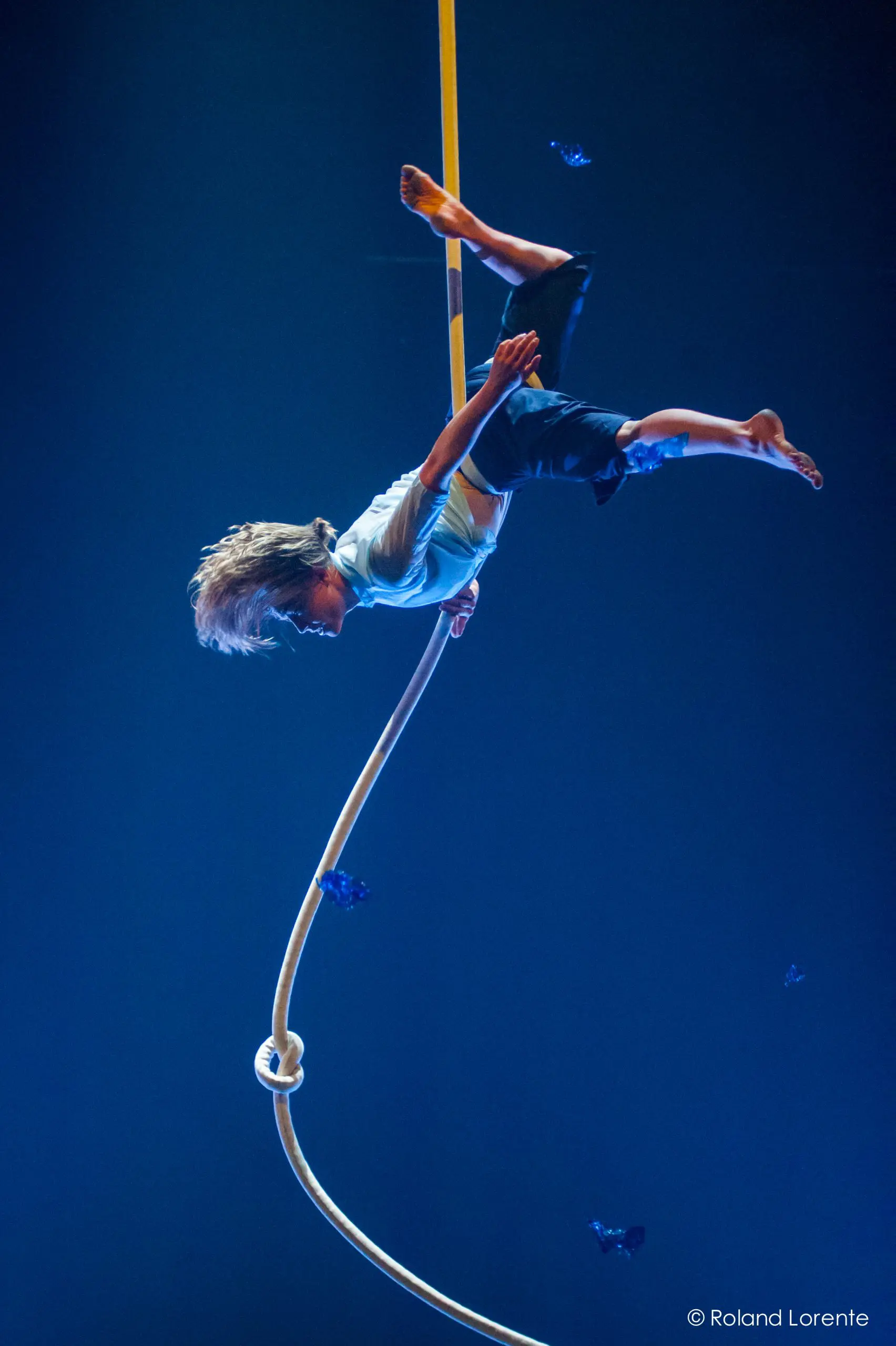Un enfant effectue un numéro d'acrobatie aérienne, suspendu à l'envers à une corde sur un fond bleu, avec des papillons bleus éparpillés autour - une scène fantaisiste qui rappelle les mondes enchanteurs de Sandy Tugwood.
