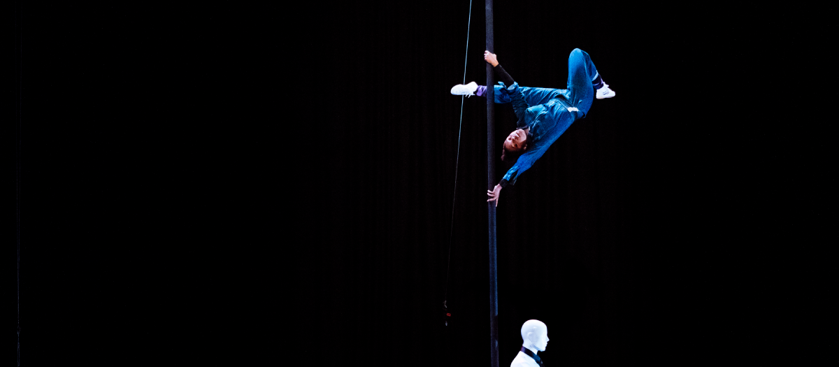 Circus Arts Research Platform