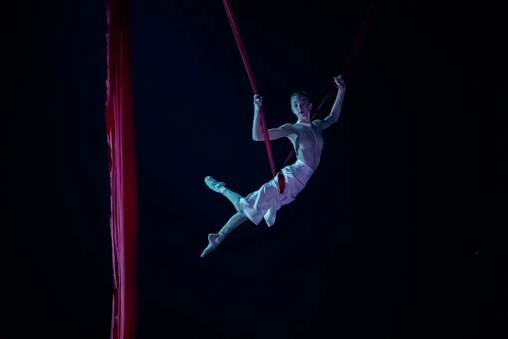 Un artiste aérien en pantalon blanc et sans chemise se suspend gracieusement dans les airs, tenant deux soies rouges sur un fond sombre, avec un éclairage dramatique mettant en valeur sa forme et ses mouvements, rappelant le style caractéristique d'Arielle Gorodetskaya.