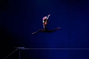 Photo: Caroline Thibault Artiste: Rowan Allinson en fil de fer