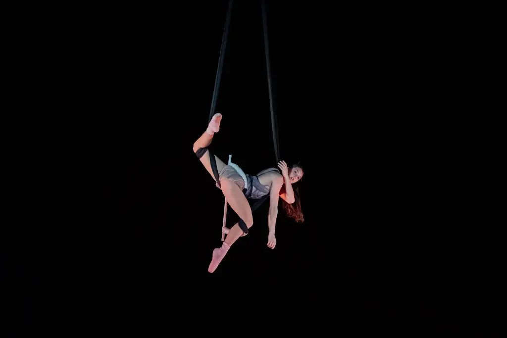 L'artiste aérienne Rose Munger, vêtue d'un justaucorps gris, prend une pose acrobatique sur des sangles noires, suspendue dans les airs sur un fond sombre, une jambe accrochée à une sangle et l'autre tendue, regardant gracieusement le public.