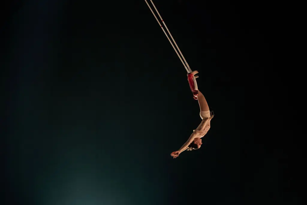 Une artiste de cirque, Malou Latrompette, est suspendue à l'envers dans les airs, s'accrochant à des sangles aériennes, les jambes et les bras tendus, sur un fond sombre.