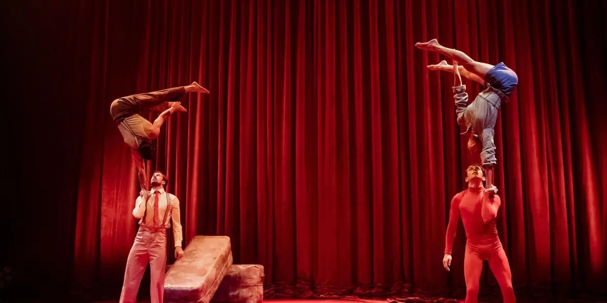 Formation des enseignant·e·s