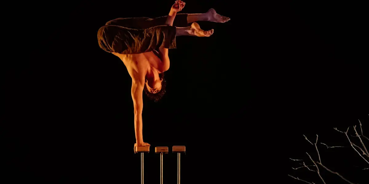 Un acrobate torse nu se tient en équilibre sur une main au sommet de deux grands poteaux sur un fond sombre, les jambes pliées et croisées dans les airs. En bas à droite, une branche d'arbre dénudée ajoute du contraste à cette image saisissante de Thomas Parent.