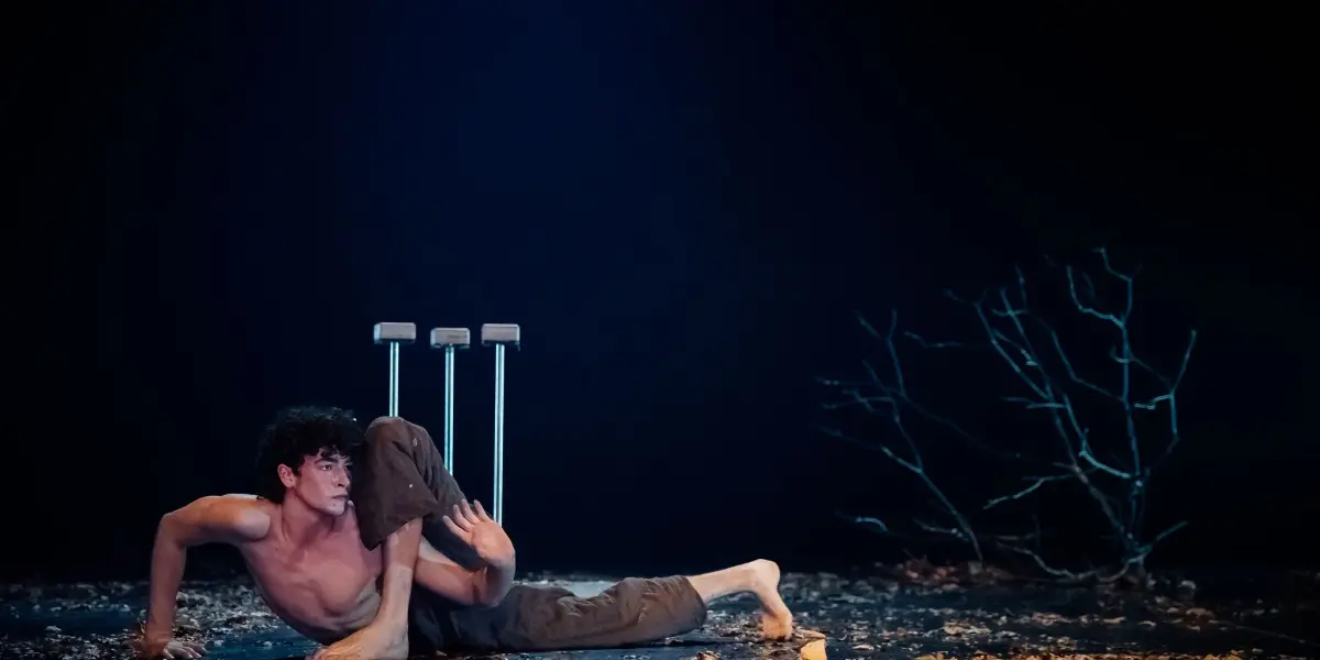 Un artiste torse nu - Thomas Parent - avec des béquilles est allongé sur une scène faiblement éclairée, couverte de feuilles sèches, et bouge sa jambe par-dessus son épaule. Une branche dénudée est visible sur le côté droit, ajoutant à l'atmosphère dramatique et morose.