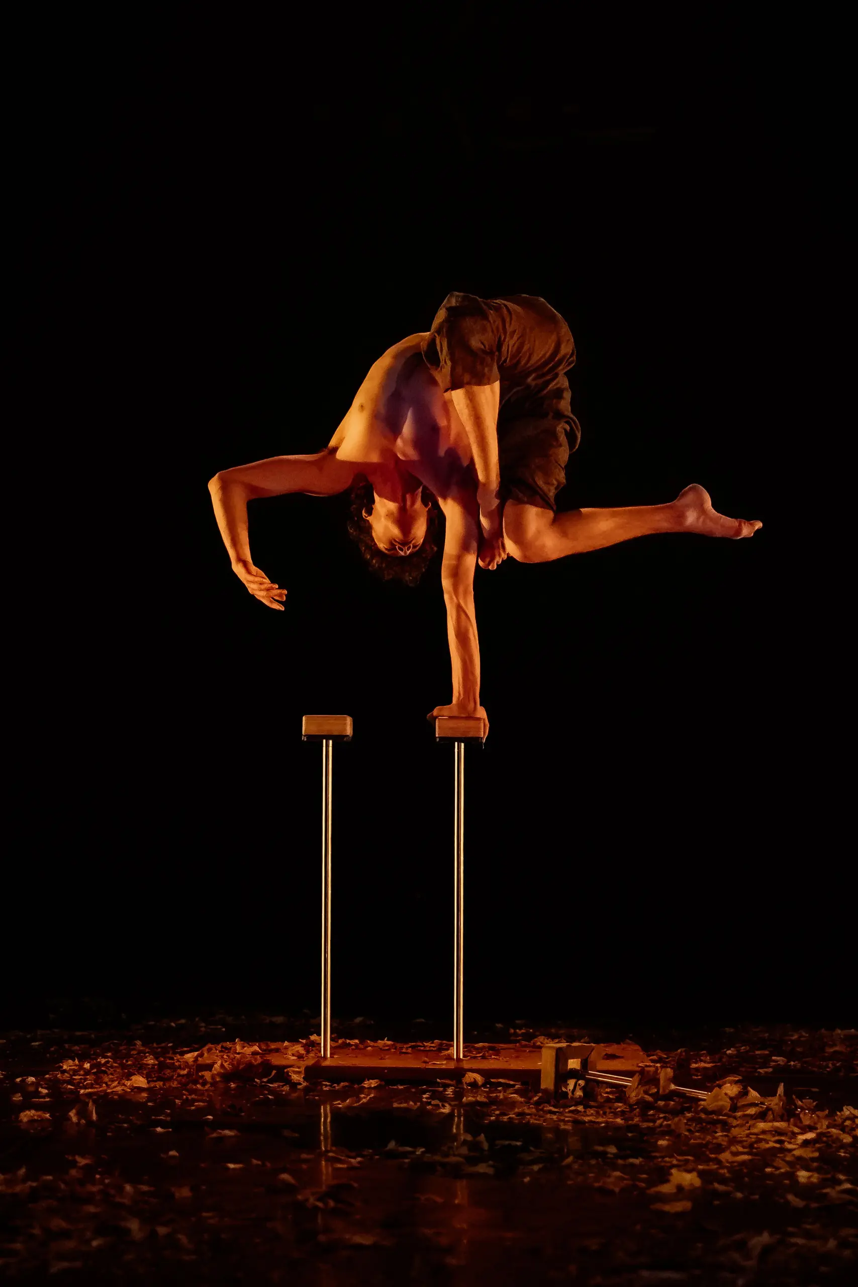 Un acrobate torse nu, Thomas Parent, se tient en équilibre sur une main au sommet de barres parallèles, arquant son corps de façon spectaculaire avec une jambe pliée et l'autre tendue, sur une scène faiblement éclairée et couverte de feuilles éparses.