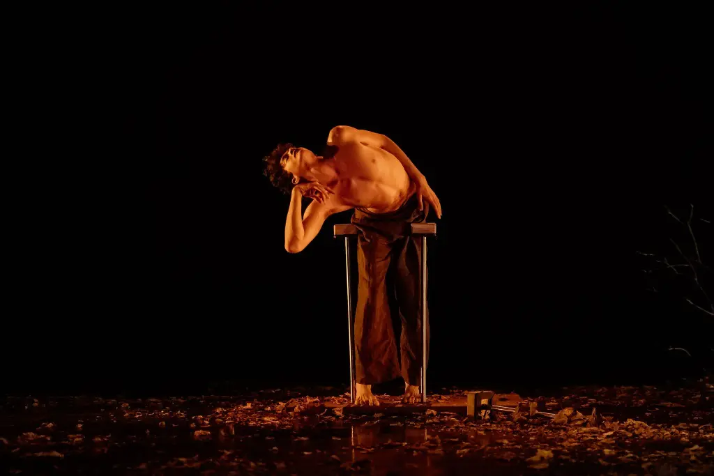 Une personne torse nu, peut-être inspirée par Thomas Parent, se tient pieds nus sur une scène faiblement éclairée, s'appuyant de façon spectaculaire sur un cadre métallique au milieu de feuilles éparses et de petits objets sur un fond sombre.